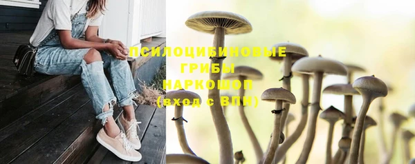 герыч Аркадак
