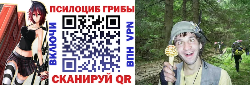 блэк спрут рабочий сайт  Омутнинск  Галлюциногенные грибы Psilocybe 